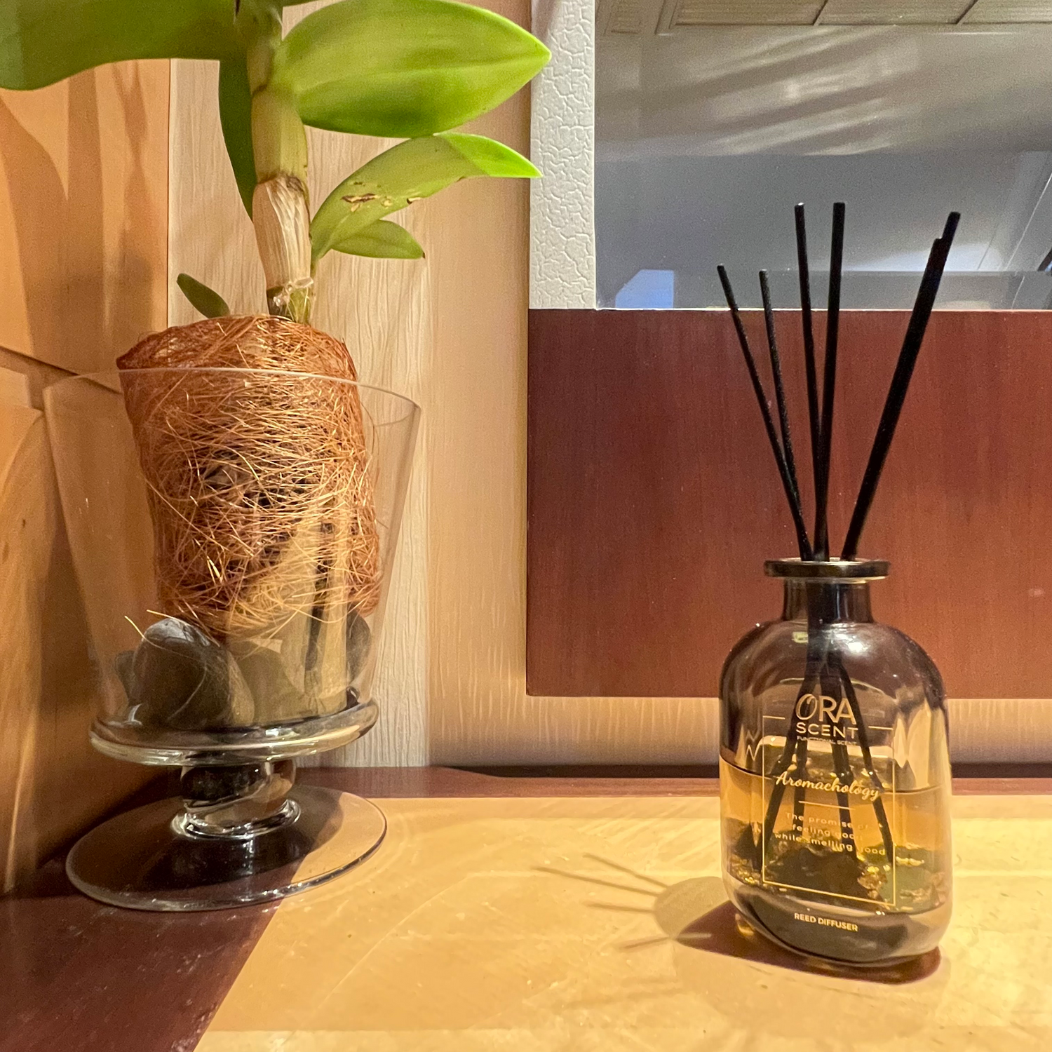 Essential Oil Reed Diffuser