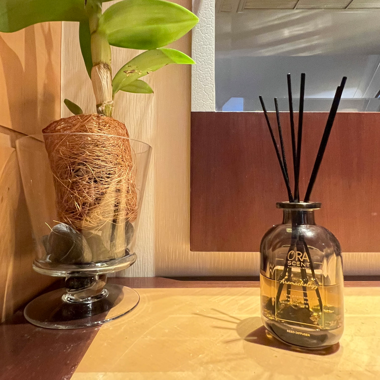 Yankee Candle Diffusers, Reed & Oil Diffusers